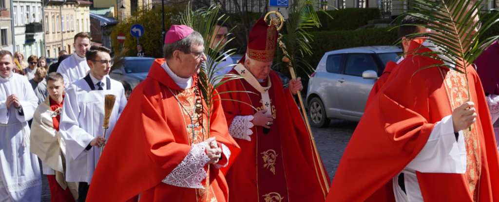 Zdjęcie z : Niedziela Palmowa 2025