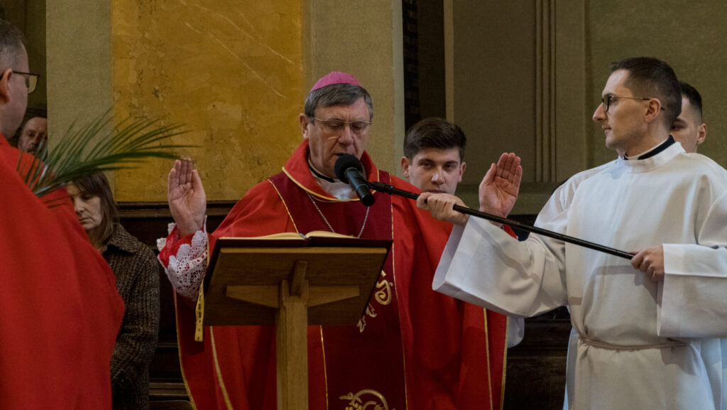 Fotorelacja: Niedziela Palmowa