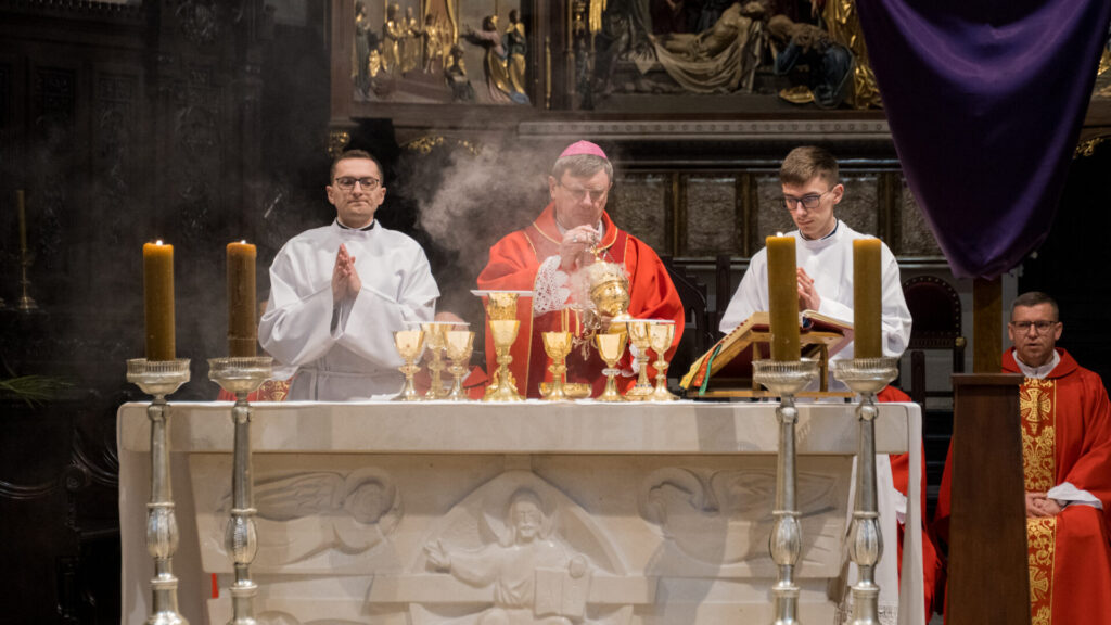 Fotorelacja: Niedziela Palmowa