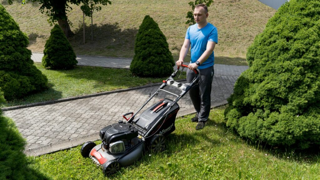 Fotorelacja: letnie porządki