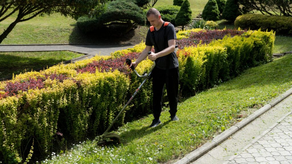 Fotorelacja: letnie porządki