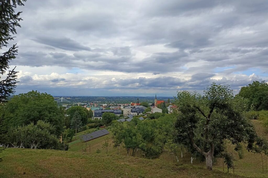 Fotorelacja: Dyżur wakacyjny w wsd